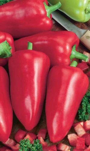 Семена Перец сладкий Винни-Пух 0,25гр (Марс) Б/П