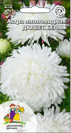 Семена Астра пионовидная Дюшес белая 0,2гр (УД) Е/П