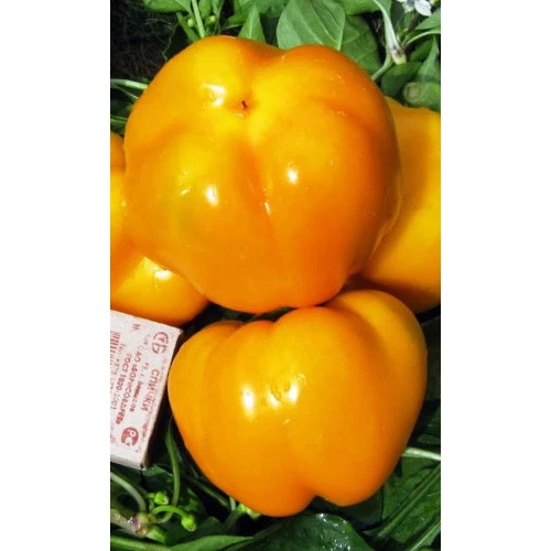 Семена Перец сладкий Оранжевый Юбилейный 0,25гр (Марс) Б/П