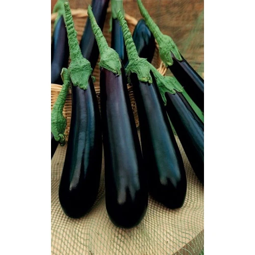 Семена Баклажан Длинный Фиолетовый 20шт (УД) Е/П