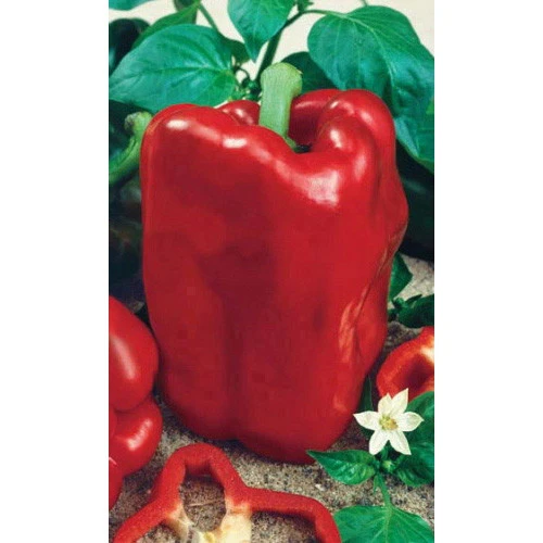 Семена Перец сладкий Богатырь 0,25гр (Марс) Б/П