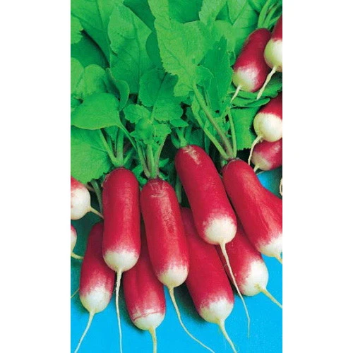 Семена Редис 18 дней 2гр (Марс) Б/П