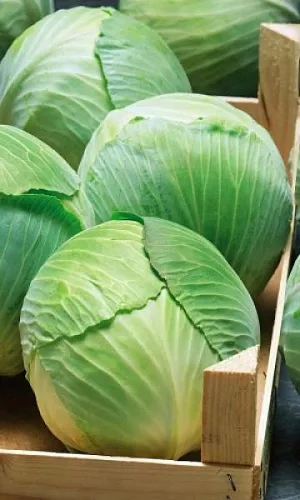 Семена Капуста белокочанная Белоснежка 0,5гр (Марс) Б/П