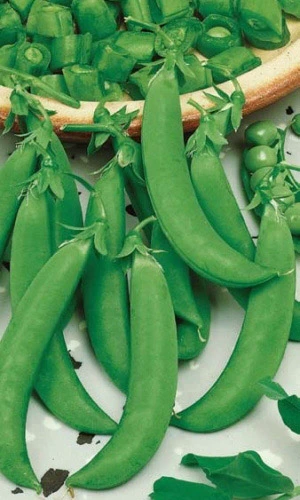 Семена Горох Амброзия 8гр (УД) Е/П