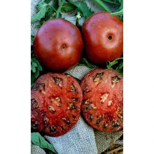 Семена Томат Черный принц (УД) ЕП_2