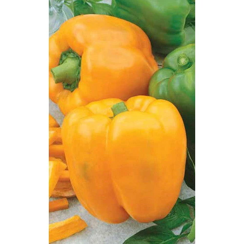 Семена Перец сладкий Золотое Чудо 12шт (УД) Е/П