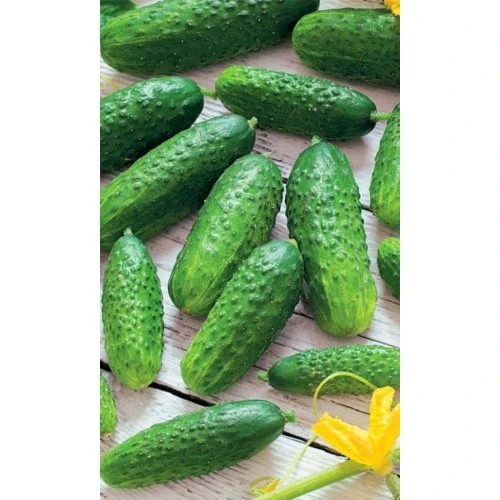 Семена Огурец Засолочный 0.4гр (Марс) Б/П