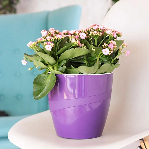 Кашпо для цветов пластиковое 2,8л d17см Грация прозрачное_2