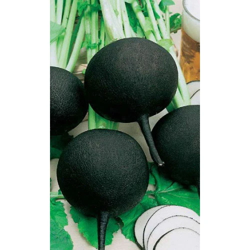 Семена Редька Зимняя круглая черная 1гр (Марс) Б/П