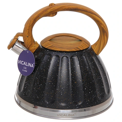 Чайник из нержавеющей стали 3,2л Vicalina Бисквит черный VL-0056_5