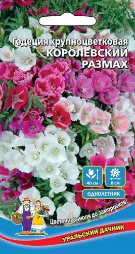 Семена Годеция Королевский размах крупноцветковая 0,15гр (УД) Е/П