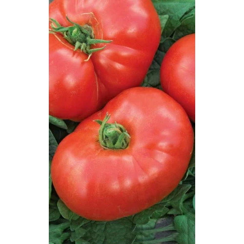 Семена Томат Космонавт Волков 20шт (УД) Е/П