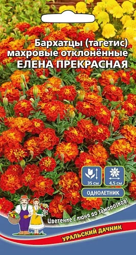 Семена Бархатцы (тагетис) махровые отклоненные Елена прекрасная 0,2гр (УД) Е/П