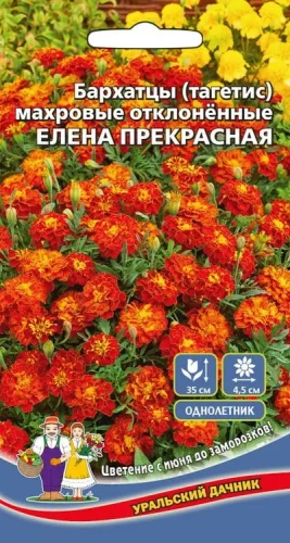 Семена Бархатцы (тагетис) махровые отклоненные Елена прекрасная 0,2гр (УД) Е/П