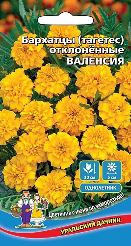 Семена Бархатцы Валенсия 0,2гр (УД) Е/П