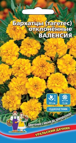 Семена Бархатцы Валенсия 0,2гр (УД) Е/П