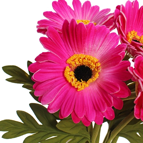 Цветы искусственные Natur 33см Герберы 7шт розовые_3