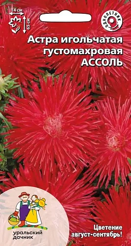 Семена Астра игольчатая густомахровая Ассоль 0,2гр (УД) Е/П