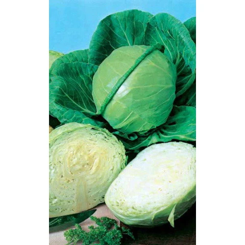 Семена Капуста белокочанная Июньская 0.5гр (Марс) Б/П