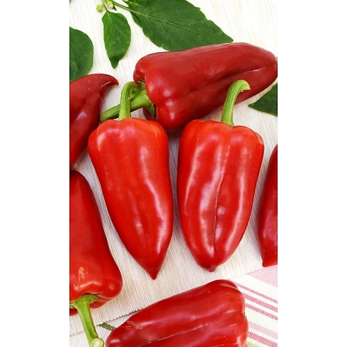 Семена Перец сладкий Сибирский богатырь 20шт (УД) Е/П