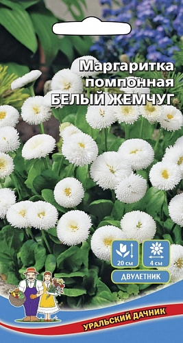 Семена Маргаритка помпонная Белый Жемчуг 0,03гр (УД) Е/П