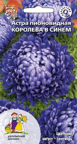 Семена Астра пионовидная Королева в синем 0,25гр (УД) Ц/П