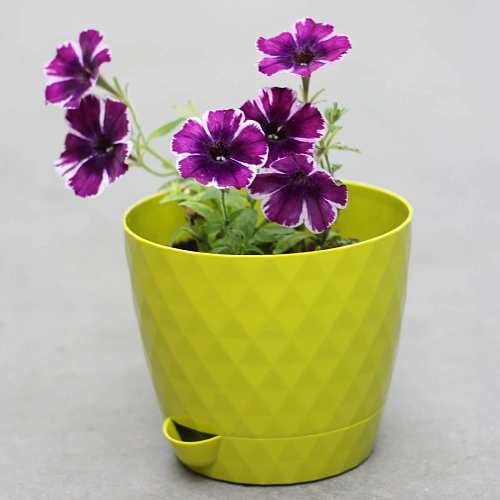 Горшок для цветов пластиковый 1л d-13,5см Румба киви_2